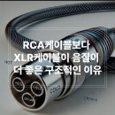 RCA케이블보다 XLR케이블이 음질이 더 좋은 구조적인 이유