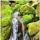 산곡하이웨이주유소 이미지