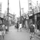 제주에 산다 이미지