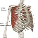 헬스보이짐필라걸홍대점 | 문정역PT 헬스보이짐 필라걸 박근만 트레이너 여자 상체 후기