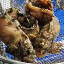 농수산물도매시장 이미지