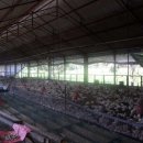 장기농장 이미지