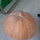 호박죽 이미지