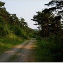 지리산둘레길 22코스(주천-밤재) 이미지