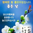 건강한삶;아름다운사람들 네이버블로그