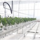 안성퇴비 영농조합법인 이미지