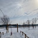 명성송이대게 이미지