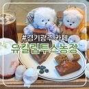 솔티농장 | [경기광주] 감성카페 추천｜[유칼립투스농장]에서 힐링하고 왔어요!