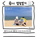 돌발진 아니고 열발진, 아기랑 속초 여행, 별빛마루도서관(22년 7월 둘째 주 육아일기)