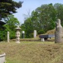 강지선생묘 이미지