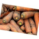 싱싱청과 이미지