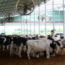 영남축산 이미지