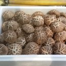 선우농장3 이미지