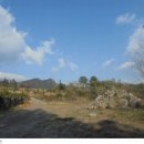 서호동-59 이미지