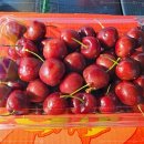 허브힐링가든 이미지