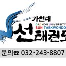 선 태권도장 이미지