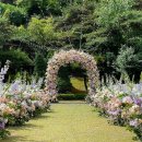 W하우스 이미지