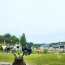 우가농장 이미지