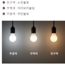 아산 조명 인테리어 <조이전기> 내 돈 내산 후기