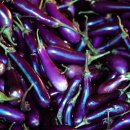 제이앤팜 이미지