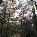 용장1리 이미지