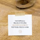 하루효소편백 이미지