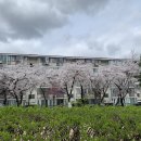 브람스를 좋아하세요 | <브람스를 좋아하세요...> 독서모임 후기