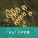 세실리아 요양원 이미지