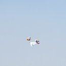 강릉별장 이미지