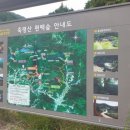 모암제 이미지