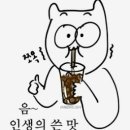 춘천 로하스게스트하우스 재 방문 후기