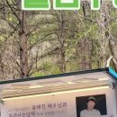 푸디트럭