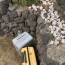 과랑펠롱민박 제주커플가족독채 이미지