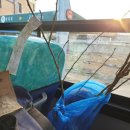 이승농장 이미지