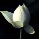 연등2길 이미지