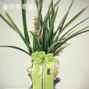 플라워특별시