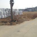 오상정미소 네이버블로그