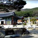 보경사 Daum카페