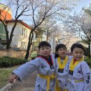 용인대홍익태권도장 네이버블로그