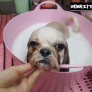 예뻐지개 이미지