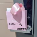 부산천사의학교 | [브레베] 서울-부산-서울 1,000K(2025. 10. 9.)