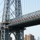 시티뉴욕(City New York) 이미지