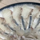 회산오징어 세상 | [울산 맛집] 울산 오징어 회 맛집 "산오징어집" 내돈내산 솔직후기