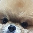 서원동-23 이미지