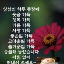 예뿐걸 - 속초시 엑스포로2길 23 | 예뿐걸