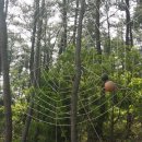 솔향기길 나오리공방 이미지