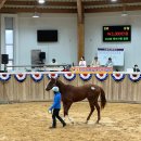 부마목장 이미지