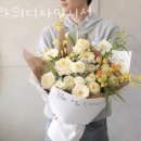 디자인시선 이미지