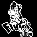 플라잉독 이미지