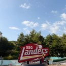 [인천/야구장]SSG랜더스필드 : 3루 커플홈런존 B열 20 직관 후기-시야, 주차, 먹거리, 홈/어웨이 스토어